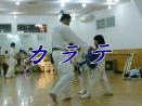 ~S/ h搶@uHcJev Karate AKITA